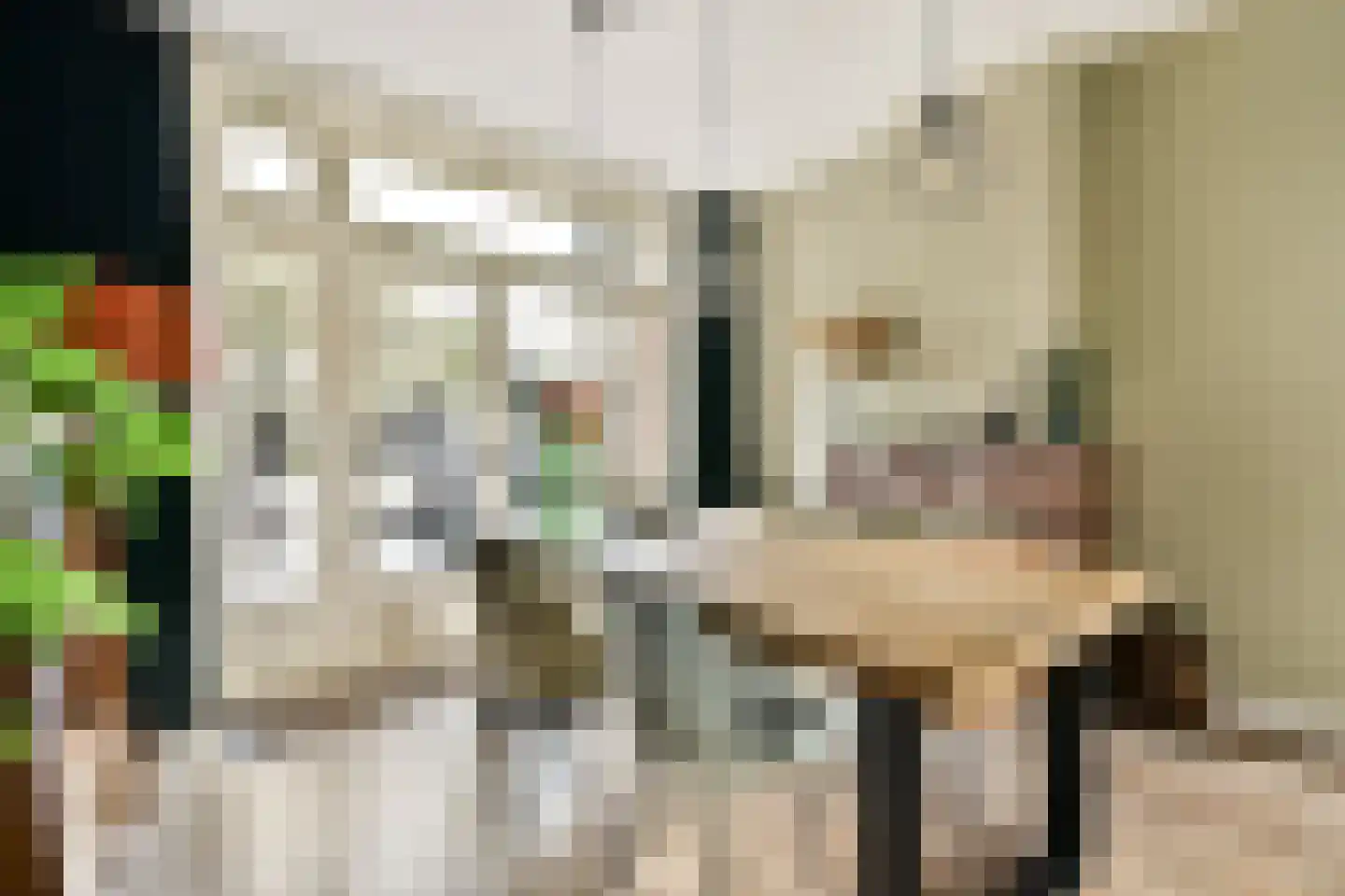 Burgemeester de Raadtsingel 1 Dordrecht thumbnail 13