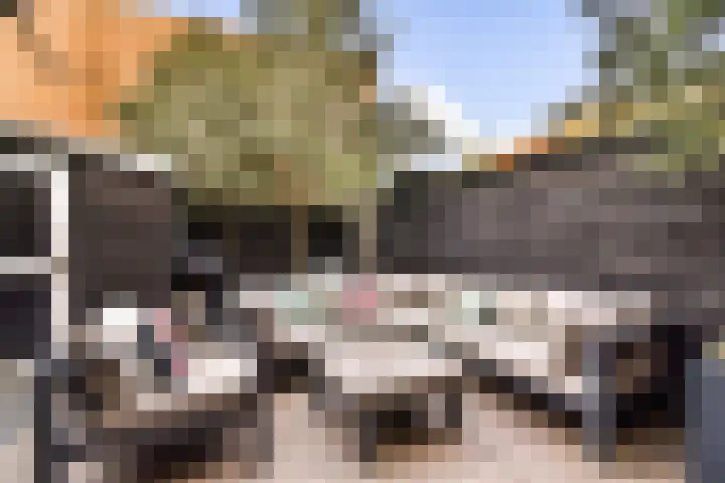Burgemeester de Raadtsingel 1 Dordrecht thumbnail 15