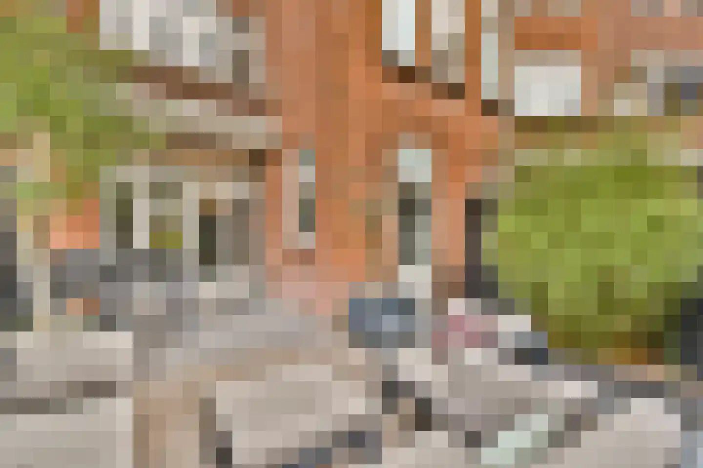 Burgemeester de Raadtsingel 1 Dordrecht thumbnail 16