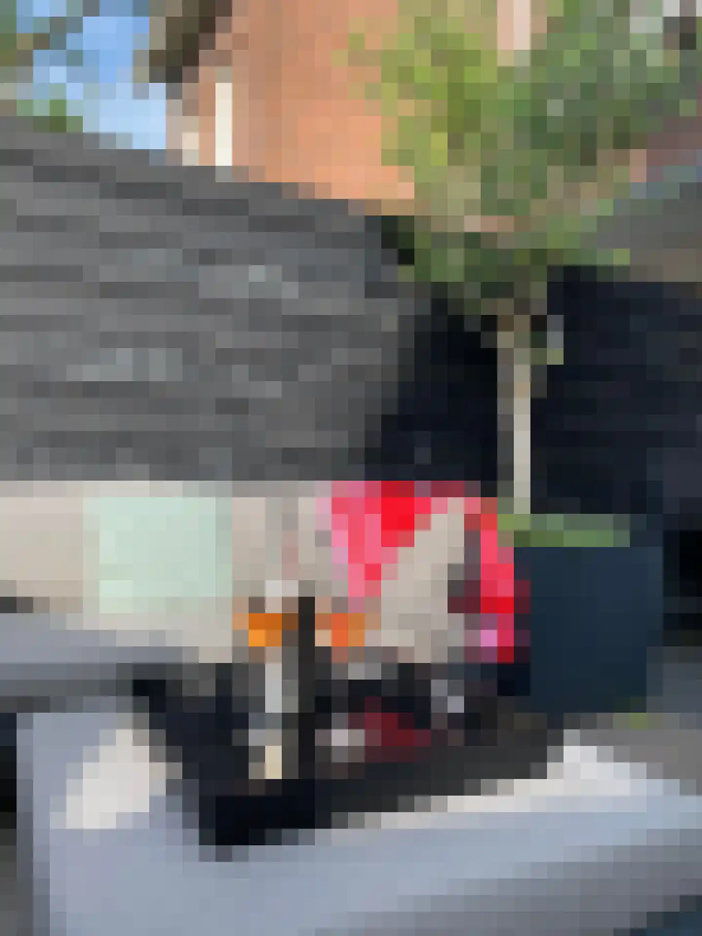 Burgemeester de Raadtsingel 1 Dordrecht thumbnail 17