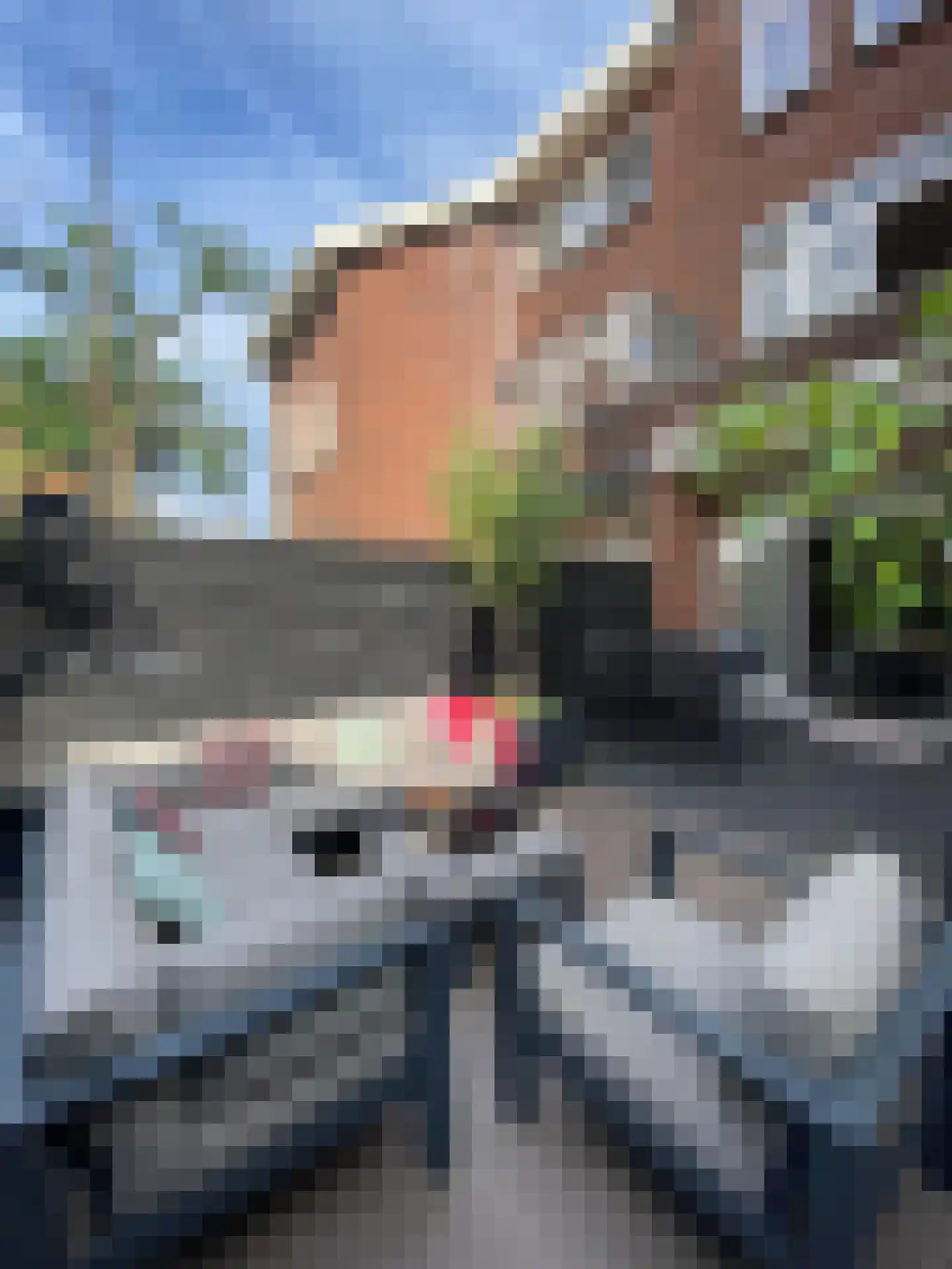Burgemeester de Raadtsingel 1 Dordrecht thumbnail 18