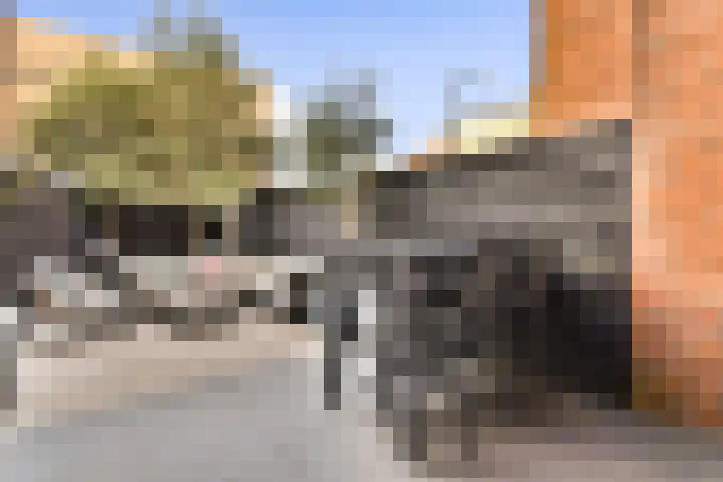 Burgemeester de Raadtsingel 1 Dordrecht thumbnail 6
