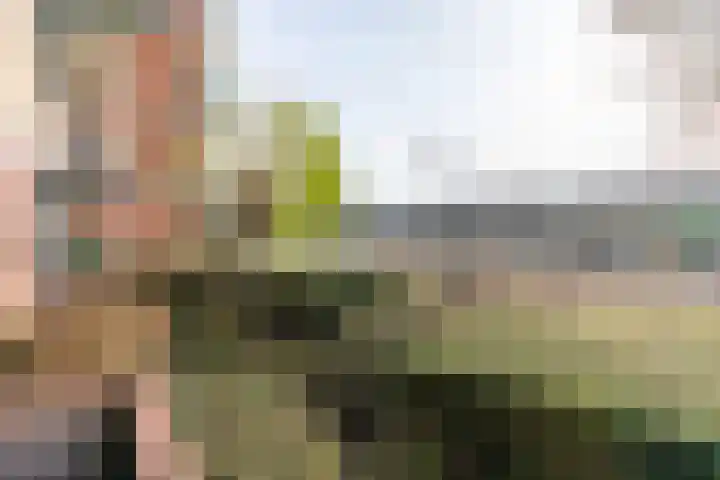 Burgemeester de Raadtsingel 117 Dordrecht thumbnail 17