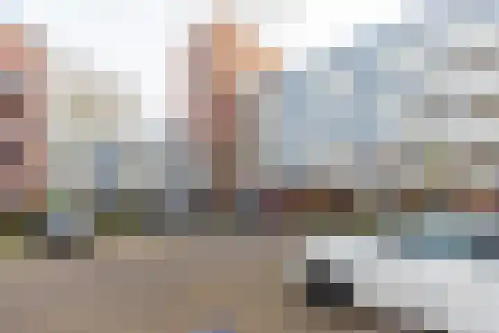 Burgemeester de Raadtsingel 117 Dordrecht thumbnail 19