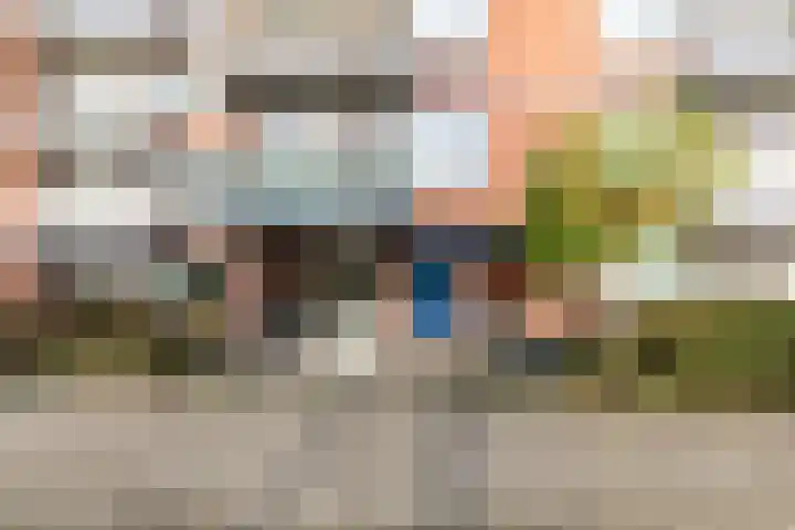 Burgemeester de Raadtsingel 117 Dordrecht thumbnail 4