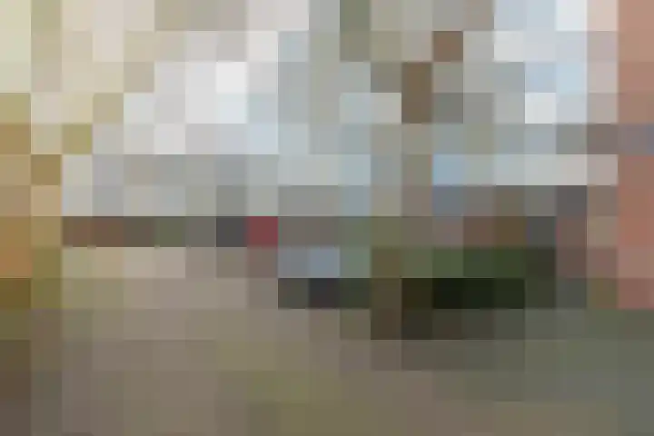 Burgemeester de Raadtsingel 117 Dordrecht thumbnail 5