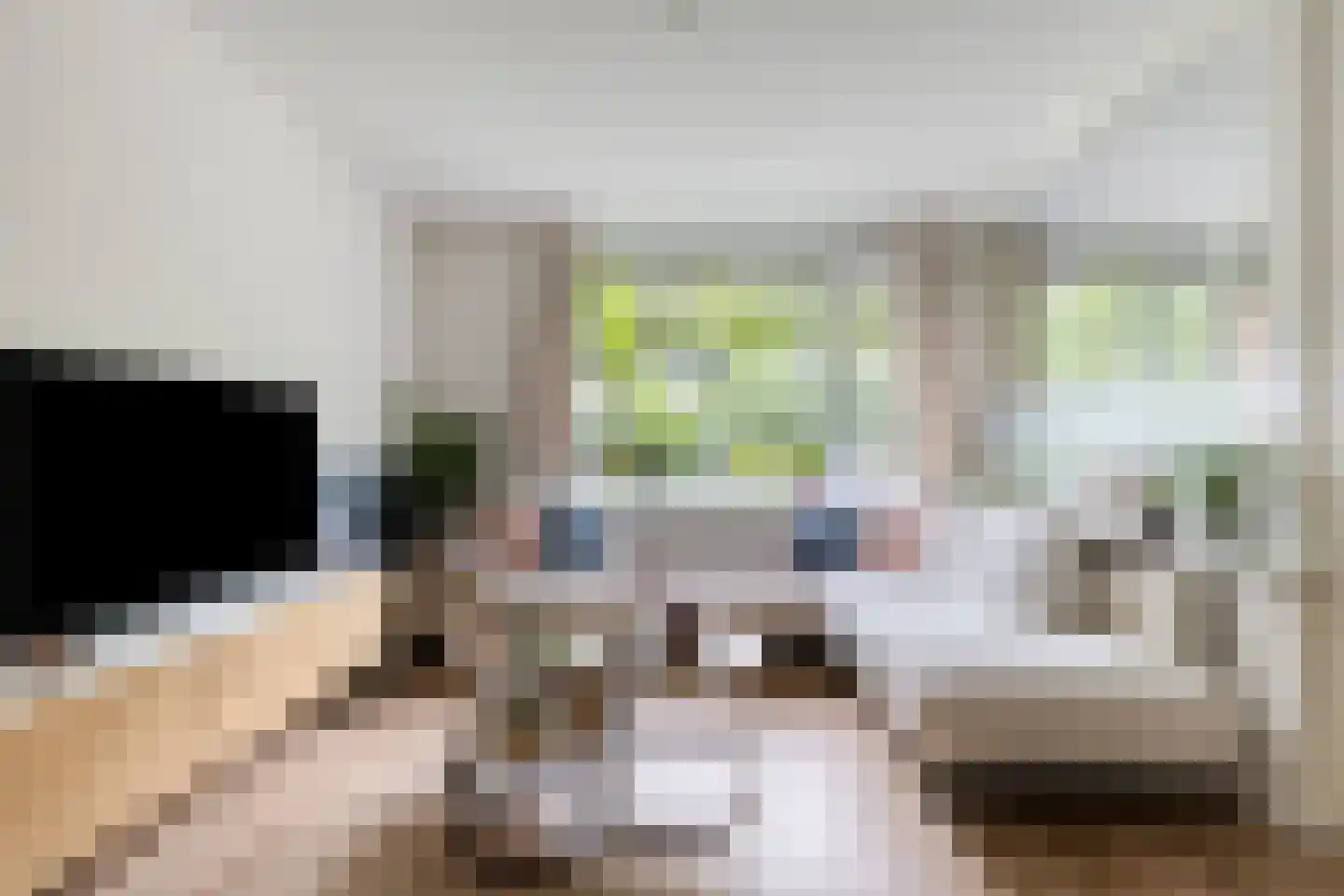 Burgemeester de Raadtsingel 125 Dordrecht thumbnail 5