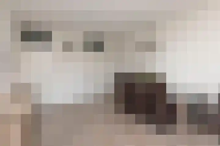 Burgemeester de Raadtsingel 183 Dordrecht thumbnail 4