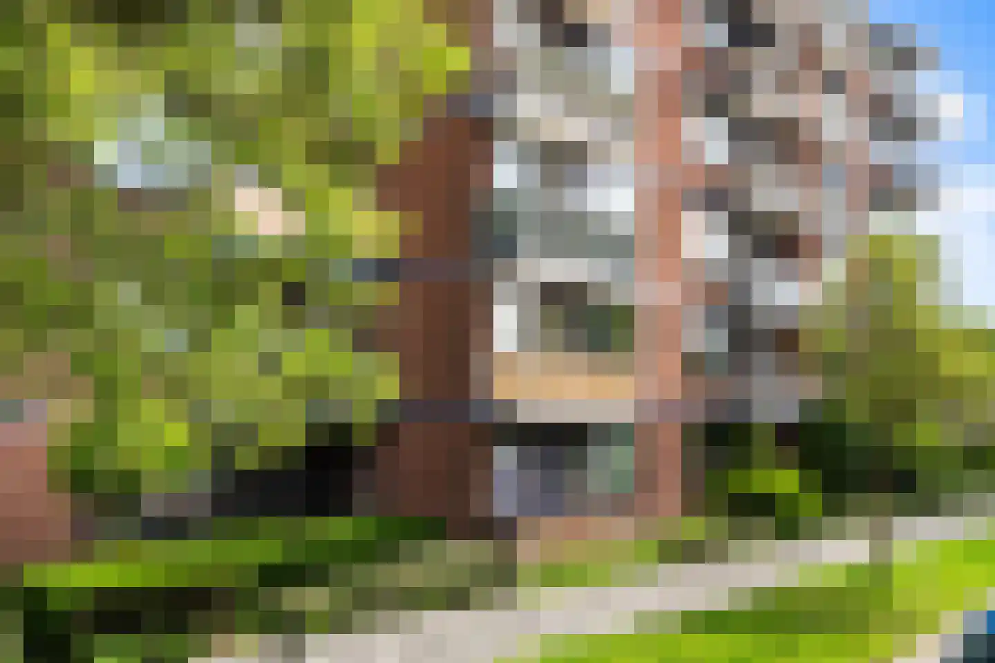 Burgemeester de Raadtsingel 191 Dordrecht thumbnail 36