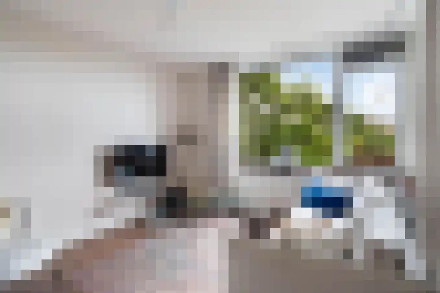 Burgemeester de Raadtsingel 219 Dordrecht thumbnail 7