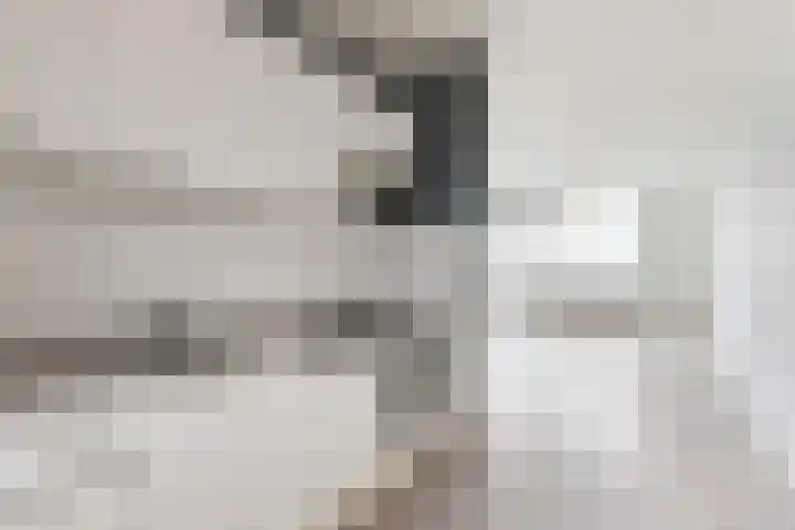 Burgemeester de Raadtsingel 233 Dordrecht thumbnail 15