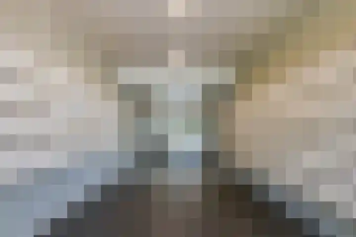 Burgemeester de Raadtsingel 233 Dordrecht thumbnail 4