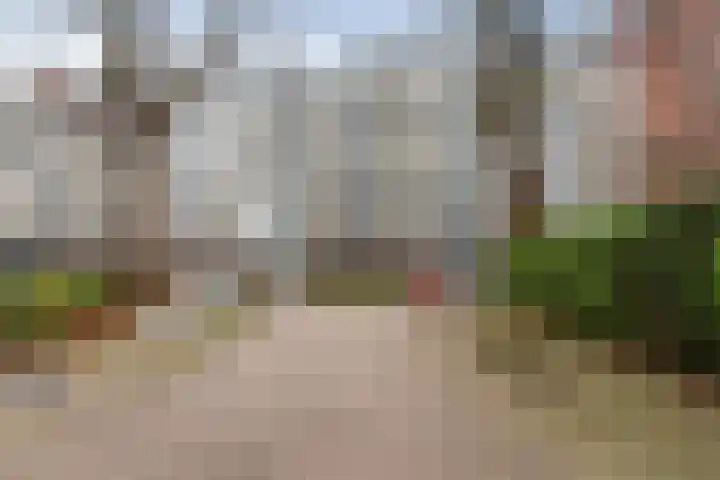 Burgemeester de Raadtsingel 233 Dordrecht thumbnail 5
