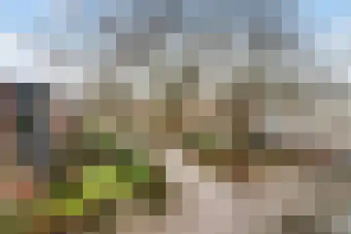 Burgemeester de Raadtsingel 233 Dordrecht thumbnail 6