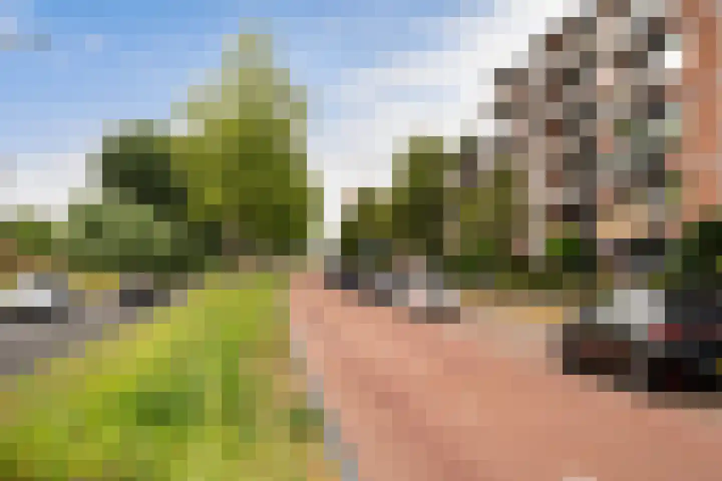 Burgemeester de Raadtsingel 269 Dordrecht thumbnail 6