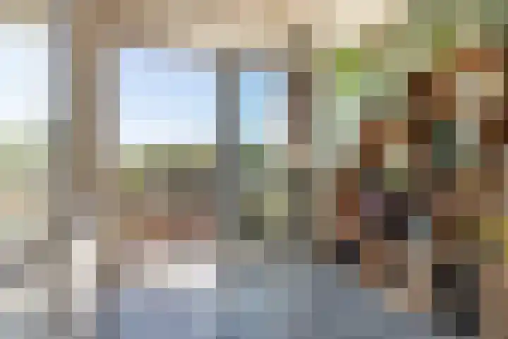 Burgemeester de Raadtsingel 287 Dordrecht thumbnail 4