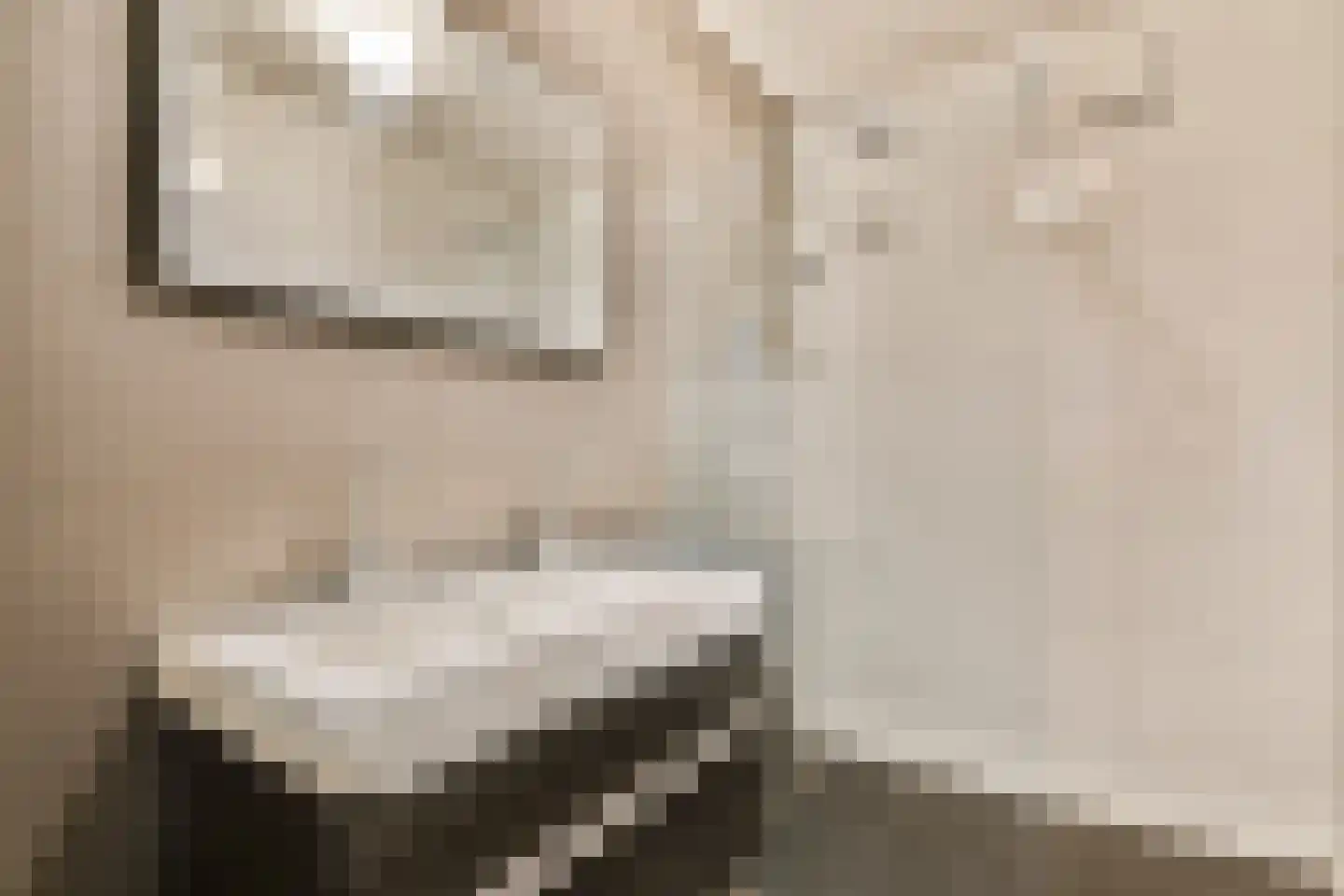 Burgemeester de Raadtsingel 3 Dordrecht thumbnail 5