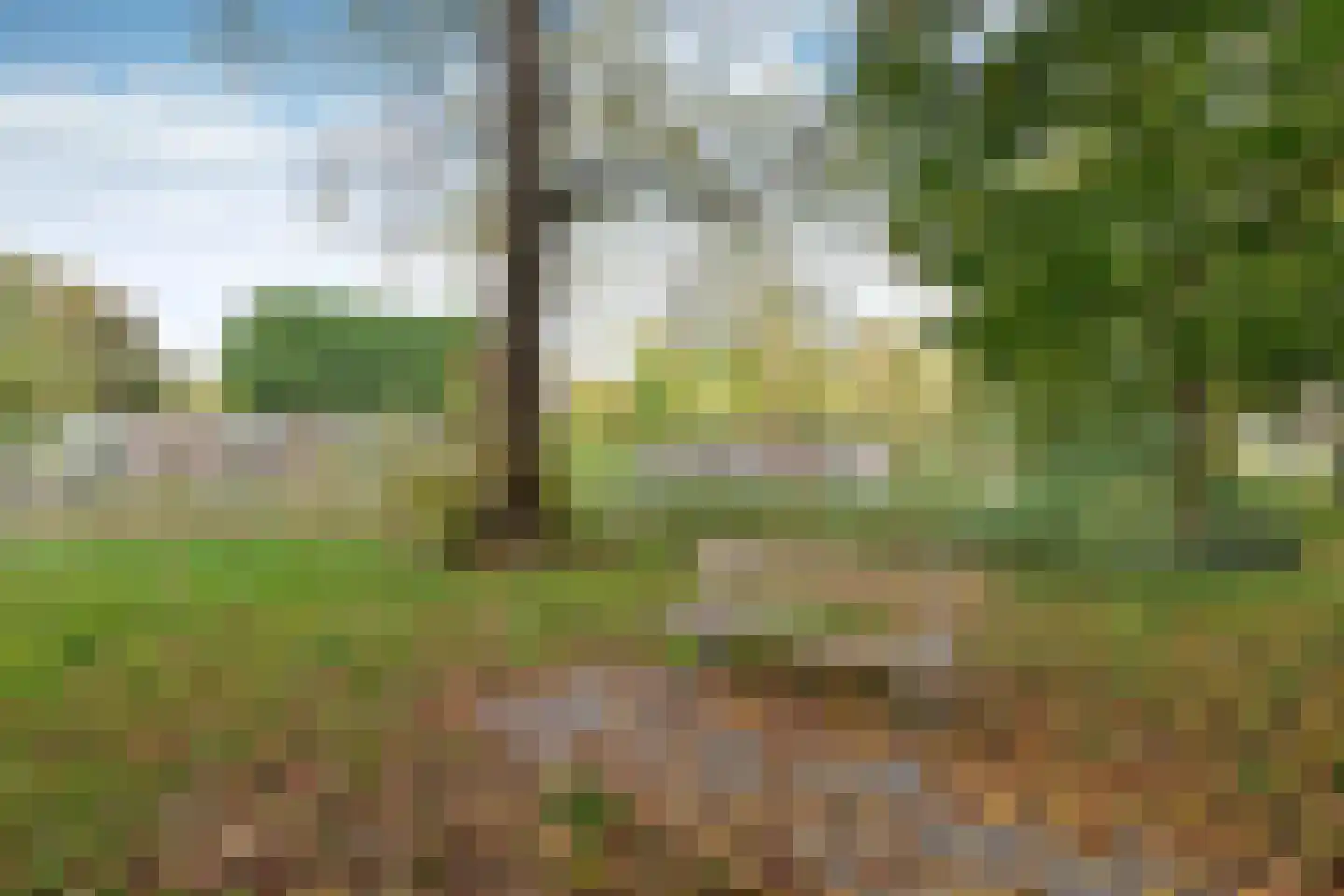 Burgemeester de Raadtsingel 4 Muiden thumbnail 17