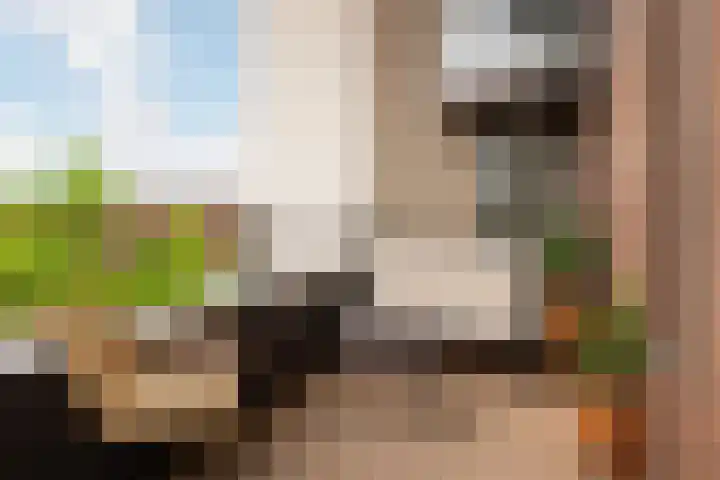 Burgemeester de Raadtsingel 69 G Dordrecht thumbnail 10