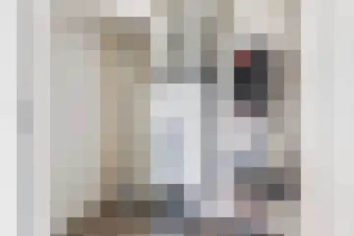 Burgemeester de Raadtsingel 69 G Dordrecht thumbnail 14