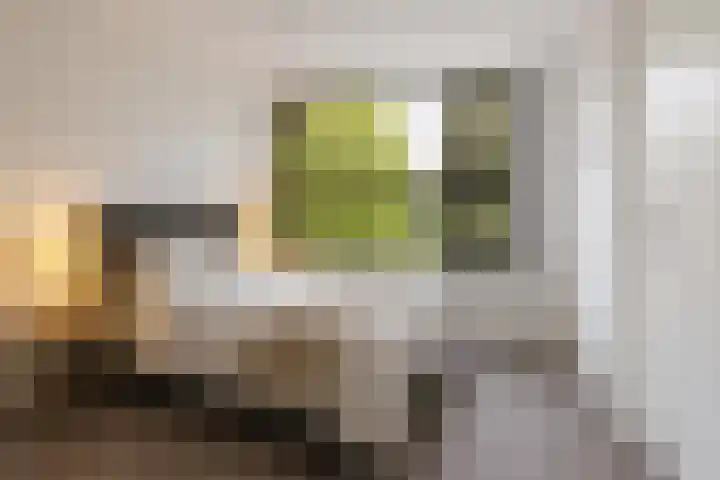 Burgemeester de Raadtsingel 69 G Dordrecht thumbnail 8