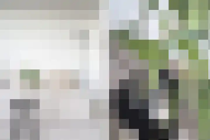 Burgemeester de Raadtsingel 69 S Dordrecht thumbnail 7