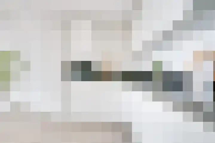 Burgemeester de Raadtsingel 69 U Dordrecht thumbnail 10