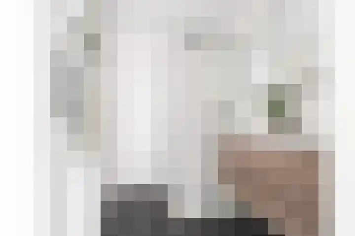 Burgemeester de Raadtsingel 69 U Dordrecht thumbnail 19