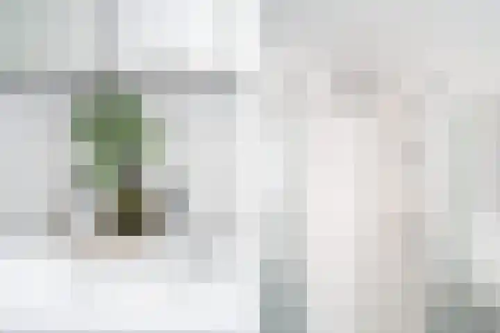 Burgemeester de Raadtsingel 69 U Dordrecht thumbnail 20