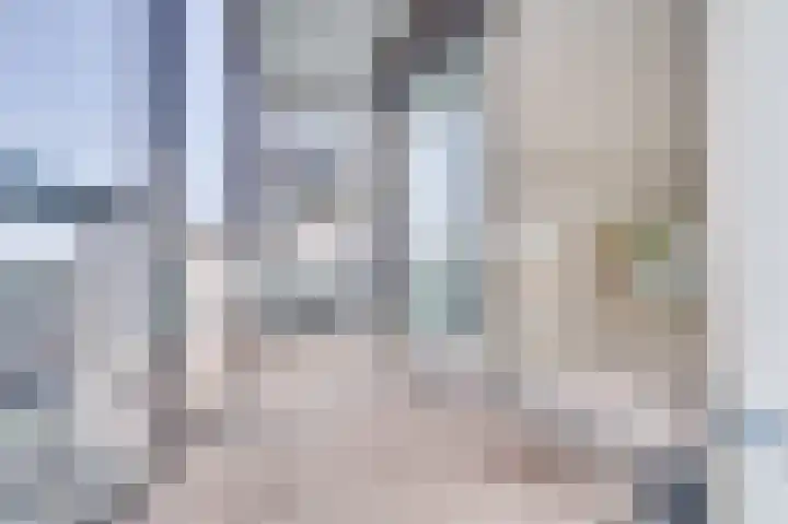 Burgemeester de Raadtsingel 69 U Dordrecht thumbnail 4