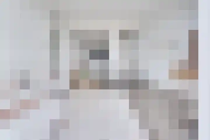 Burgemeester de Raadtsingel 71 D Dordrecht thumbnail 4