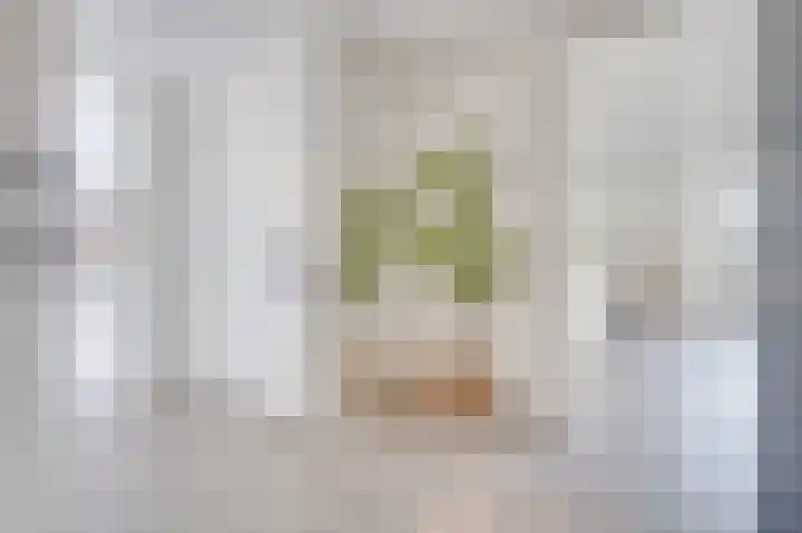 Burgemeester de Raadtsingel 71 H Dordrecht thumbnail 7