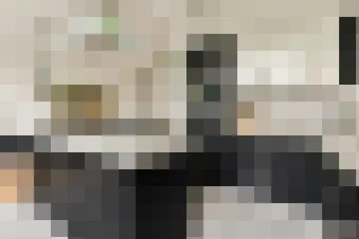 Burgemeester de Raadtsingel 79 Dordrecht thumbnail 22