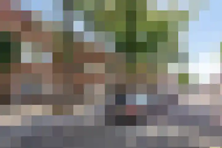 Burgemeester De Roocklaan 23 Bergen op Zoom thumbnail 5
