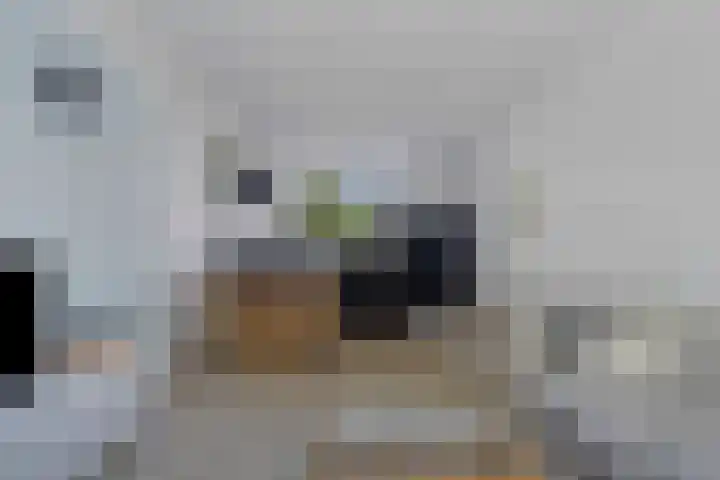 Burgemeester De Roocklaan 23 Bergen op Zoom thumbnail 9