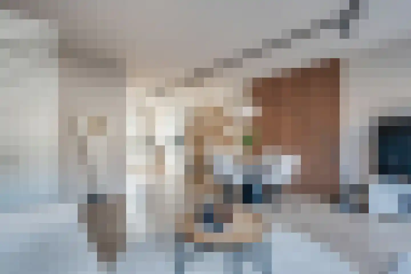Burgemeester de Sitterstraat 4 Appingedam thumbnail 4
