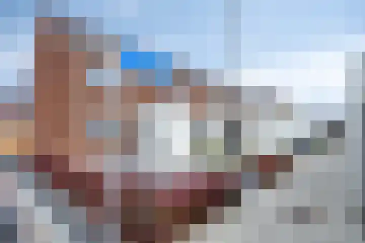 Burgemeester de Sitterstraat 4 Appingedam thumbnail 41