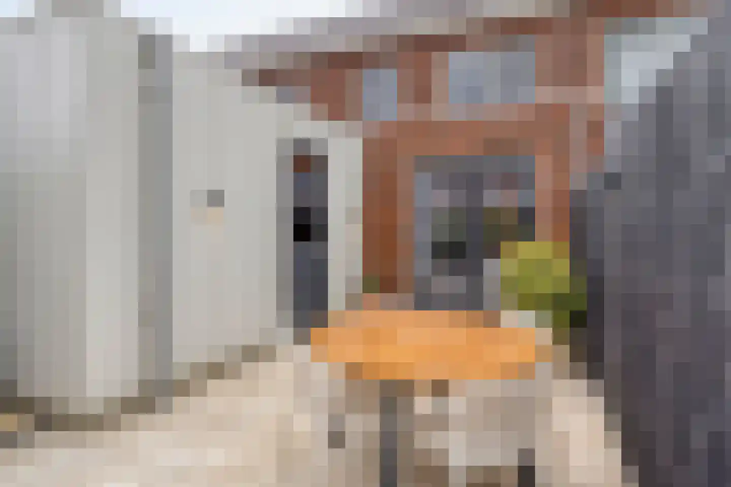 Burgemeester de Sitterstraat 47 Appingedam thumbnail 41