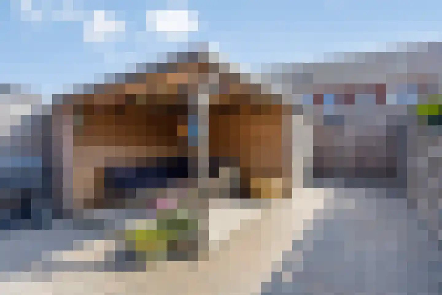 Burgemeester de Sitterstraat 9 Appingedam thumbnail 44