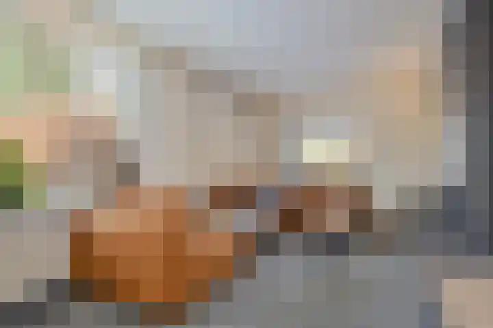 Burgemeester de van der Schuerenlaan 1 Oosterhout thumbnail 10