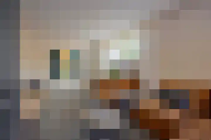 Burgemeester de van der Schuerenlaan 1 Oosterhout thumbnail 11