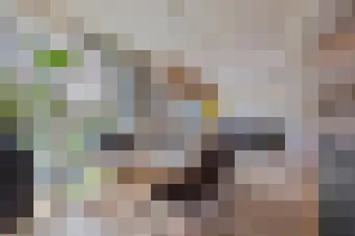 Burgemeester de van der Schuerenlaan 1 Oosterhout thumbnail 25