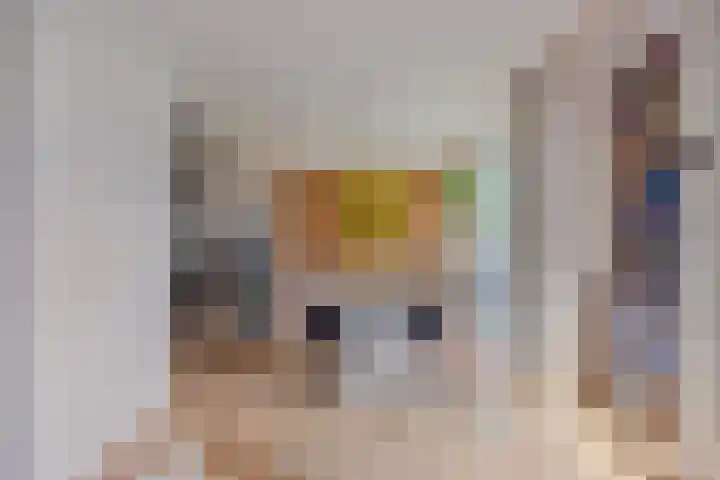 Burgemeester de van der Schuerenlaan 1 Oosterhout thumbnail 27