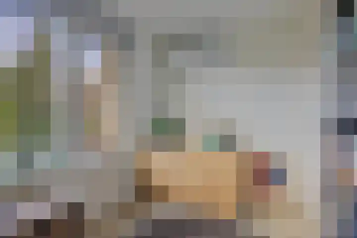 Burgemeester de van der Schuerenlaan 1 Oosterhout thumbnail 39