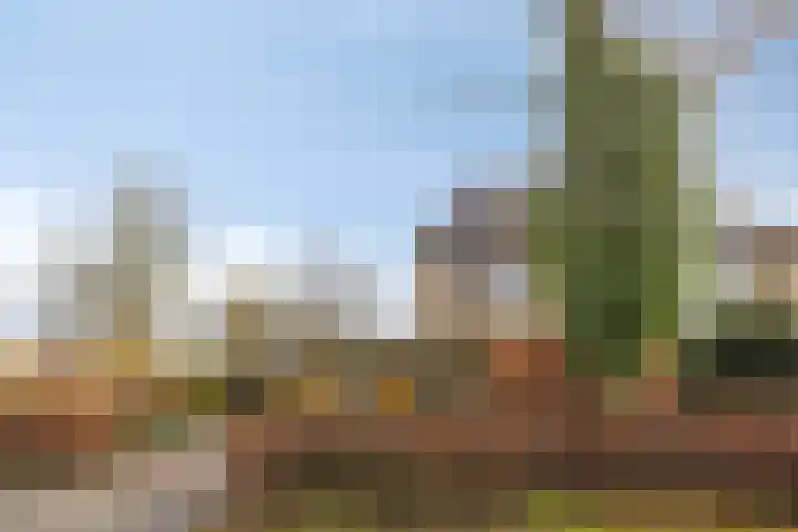 Burgemeester de van der Schuerenlaan 1 Oosterhout thumbnail 4