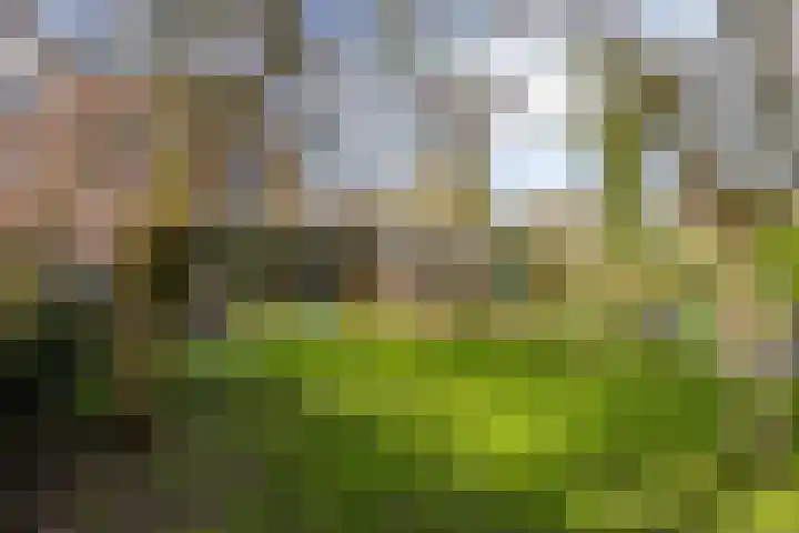 Burgemeester de van der Schuerenlaan 1 Oosterhout thumbnail 51