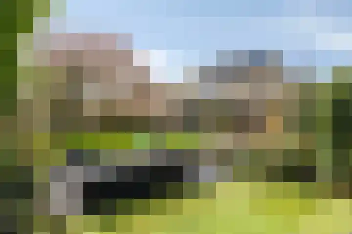 Burgemeester de van der Schuerenlaan 1 Oosterhout thumbnail 54