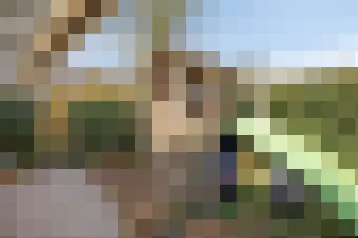 Burgemeester de van der Schuerenlaan 1 Oosterhout thumbnail 57