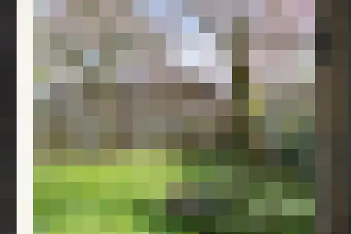 Burgemeester de van der Schuerenlaan 1 Oosterhout thumbnail 58