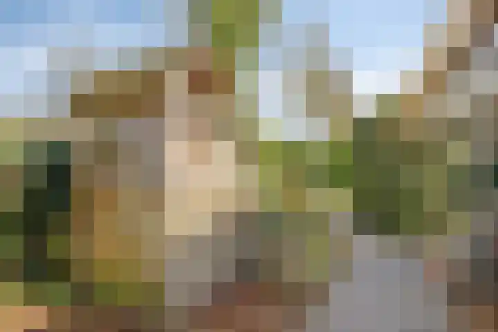 Burgemeester de van der Schuerenlaan 1 Oosterhout thumbnail 59